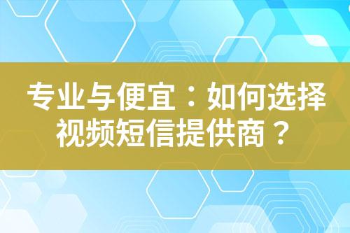 專業(yè)與便宜：如何選擇視頻短信提供商？