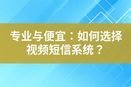 專業(yè)與便宜：如何選擇視頻短信系統(tǒng)？