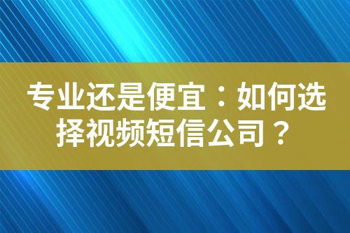 專業(yè)還是便宜：如何選擇視頻短信公司？