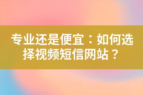 專業(yè)還是便宜：如何選擇視頻短信網(wǎng)站？