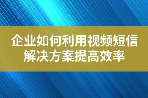 企業(yè)如何利用視頻短信解決方案提高效率