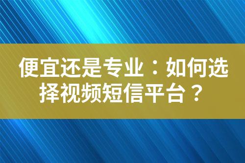 便宜還是專業(yè)：如何選擇視頻短信平臺？