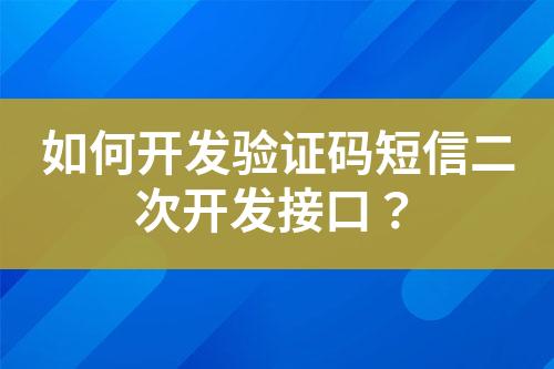 如何開發(fā)驗證碼短信二次開發(fā)接口？