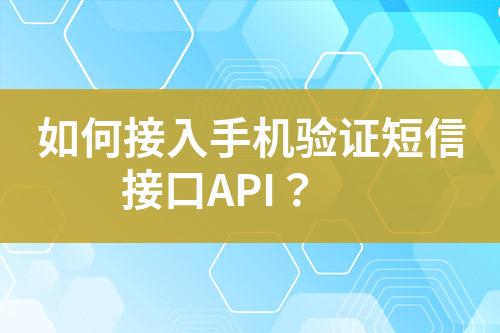 如何接入手機(jī)驗(yàn)證短信接口API？