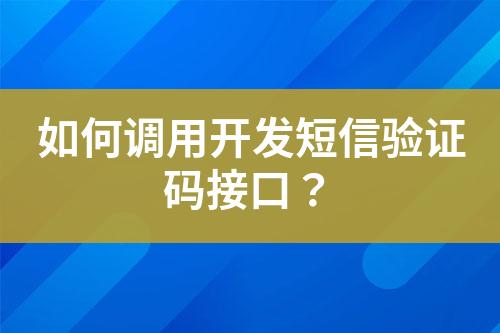 如何調(diào)用開發(fā)短信驗(yàn)證碼接口？