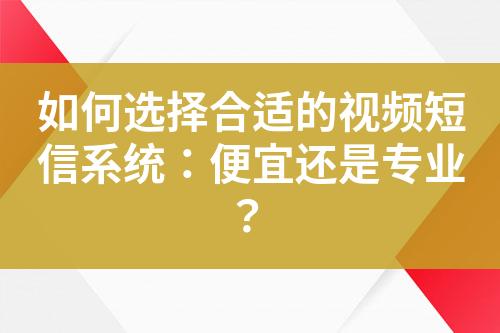 如何選擇合適的視頻短信系統(tǒng)：便宜還是專業(yè)？