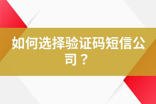 如何選擇驗(yàn)證碼短信公司？