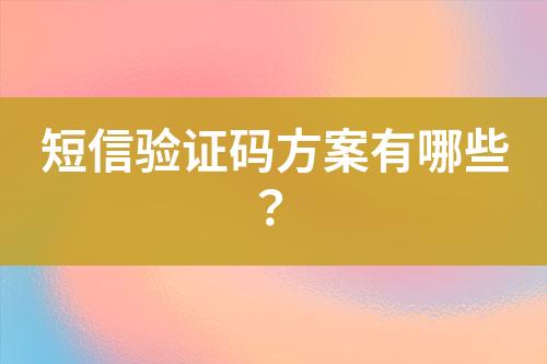 短信驗證碼方案有哪些？