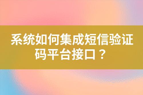 系統(tǒng)如何集成短信驗證碼平臺接口？