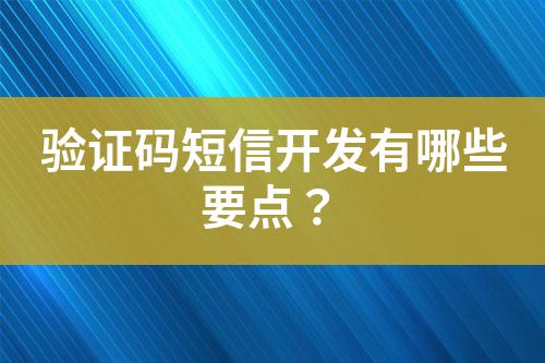 驗(yàn)證碼短信開(kāi)發(fā)有哪些要點(diǎn)？